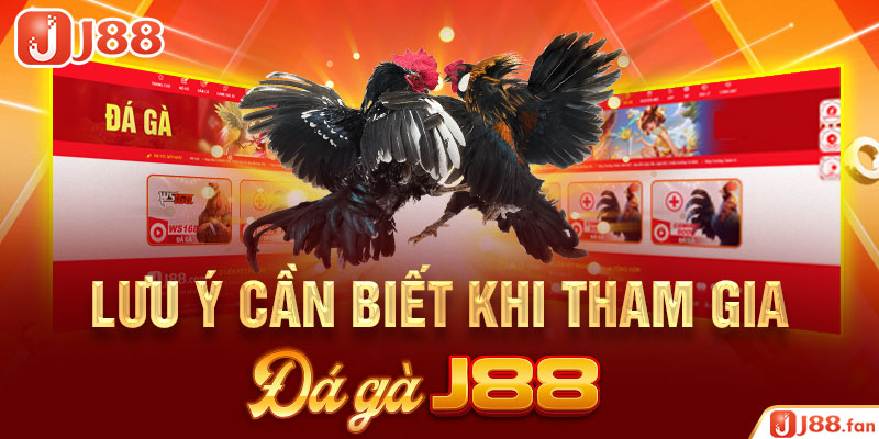 Lưu ý cần biết khi tham gia đá gà J88