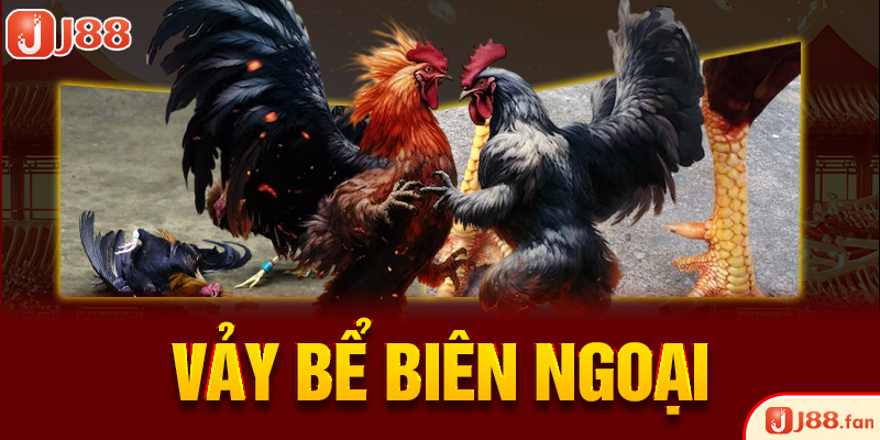 23 Vảy Gà Xấu Khiến Nhiều Kê Thủ Phải Lắc Đầu Bỏ Qua 4 Vảy bể biên ngoại