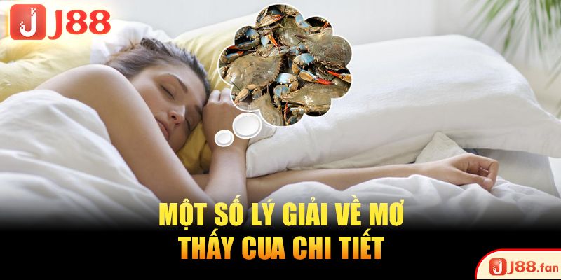 Mơ Thấy Cua Và Những Bí Ẩn Giải Mã Chuẩn Xác Nhất A-Z 3 Một số lý giải về mơ thấy cua chi tiết