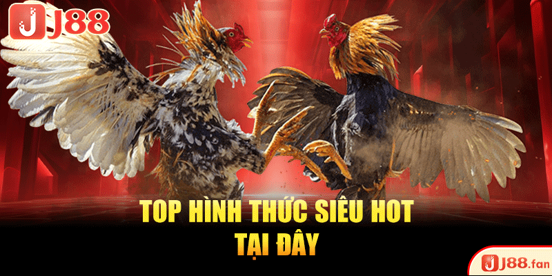 Đá Gà SV388 | Sân Chơi Đá Chọi Kịch Tính TOP #1 Hiện Nay 3 Top hình thức siêu hot tại đây